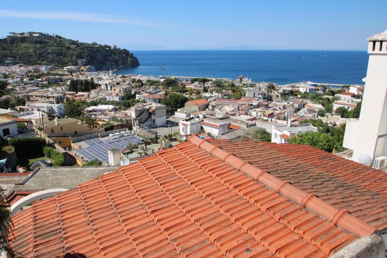 Lacco Terrace Solarium Lacco Ameno  Екстер'єр фото