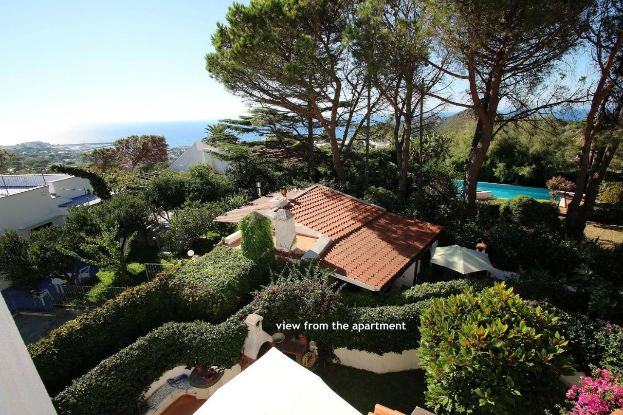 Lacco Terrace Solarium Lacco Ameno  Екстер'єр фото